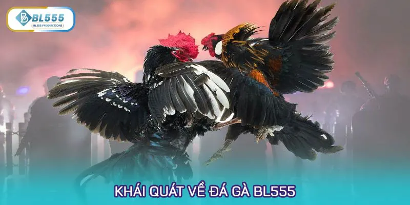 Khái quát về Đá gà BL555